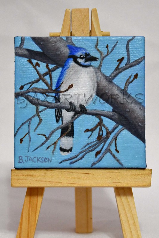 Mini Canvas Blue Jay.jpg