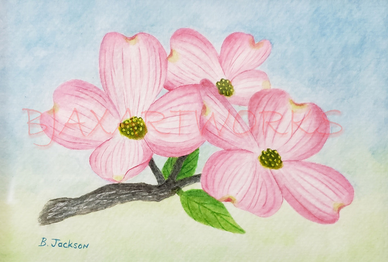 Pink Dogwood - Water Color.jpg