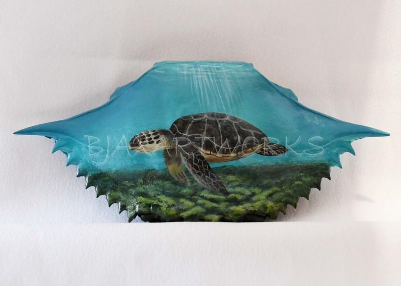 Sea Turtle.jpg
