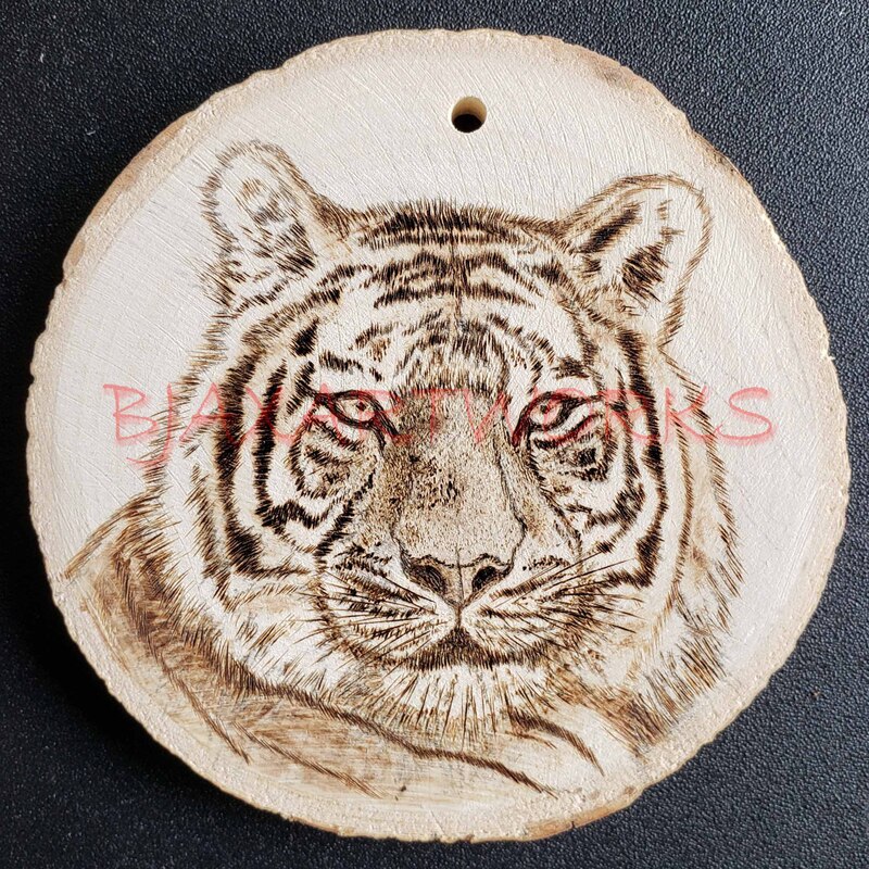 Tiger Face.jpg
