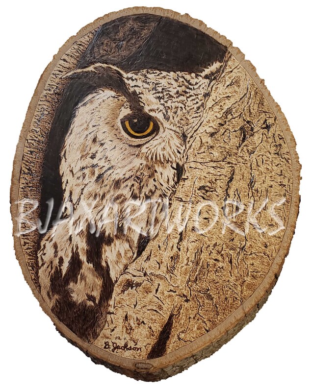 Wise Owl Peeking Out.jpg