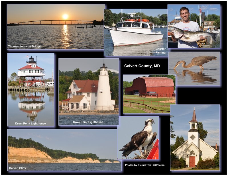 Calvert County collage (print size 8x10).jpg