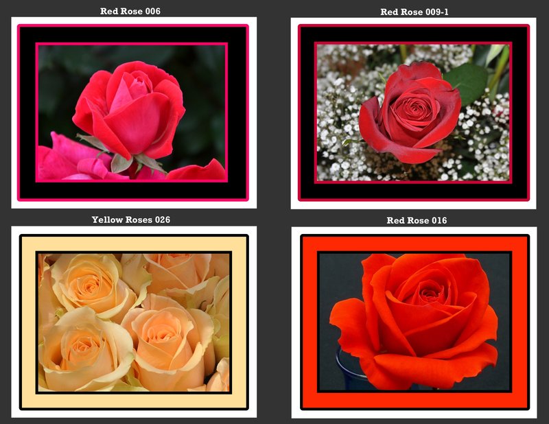Flowers 001.jpg