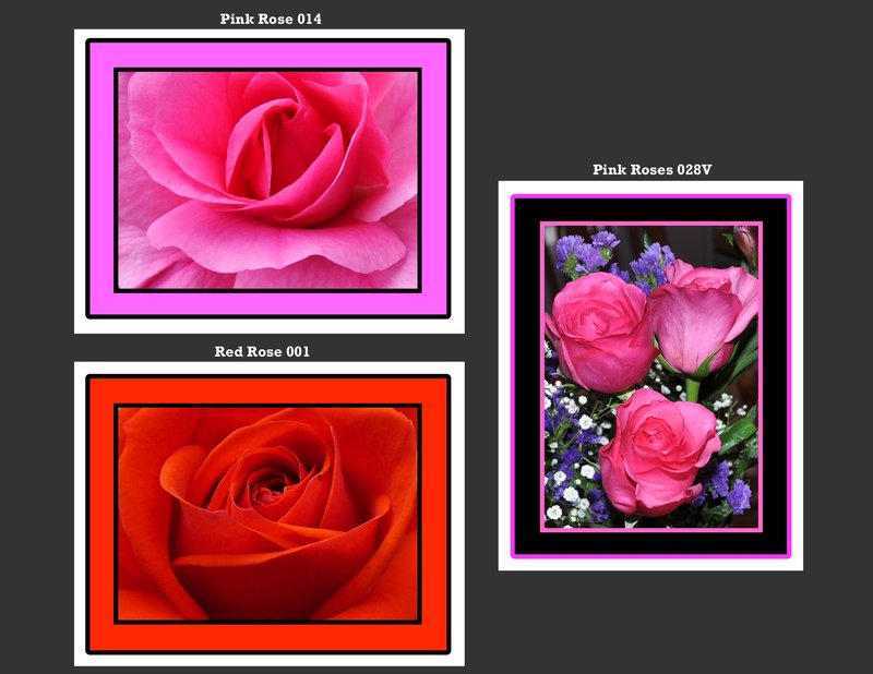Flowers 002.jpg