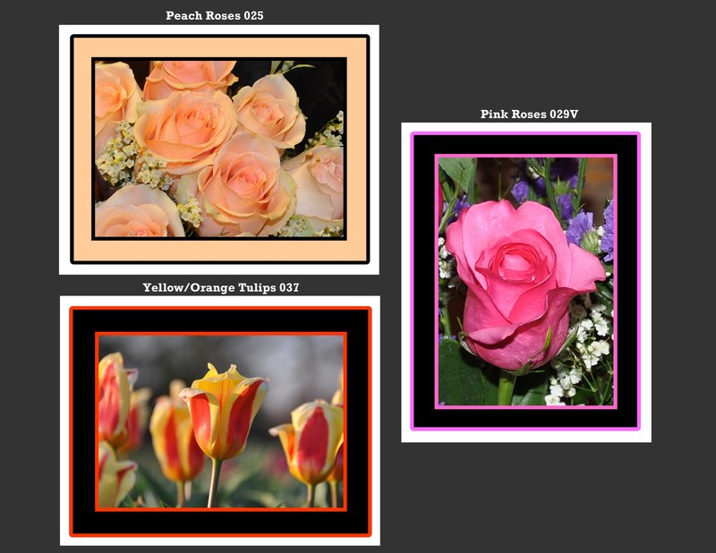 Flowers 003.jpg