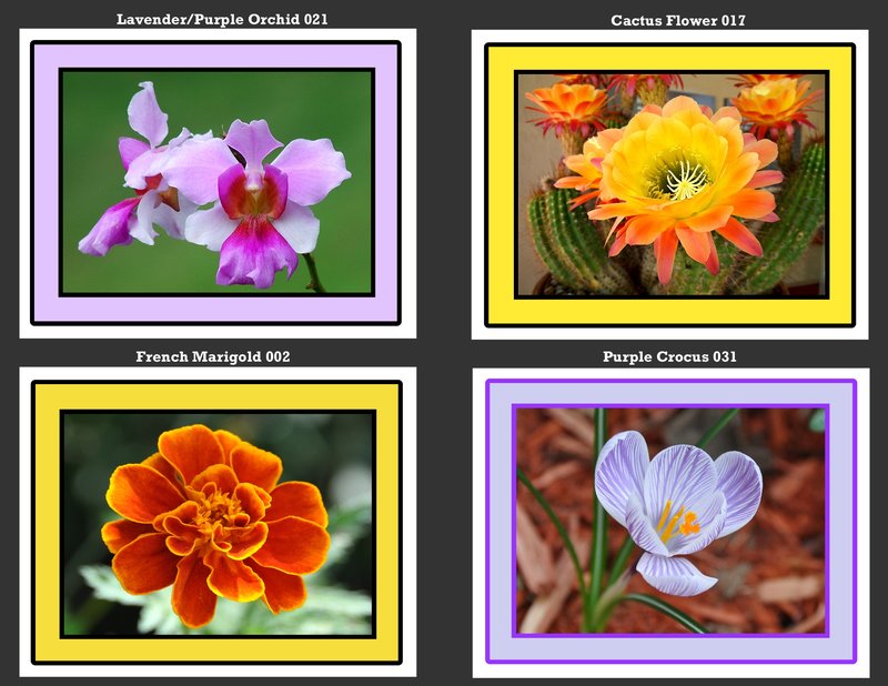Flowers 004.jpg