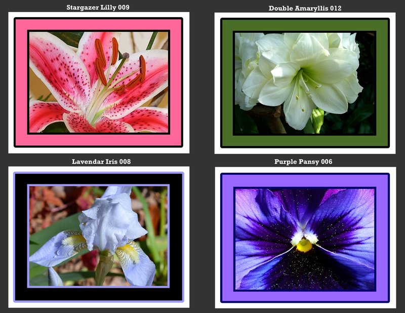 Flowers 005.jpg