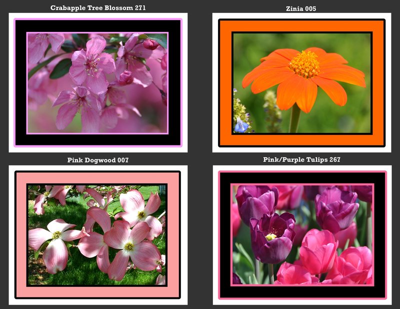 Flowers 006.jpg