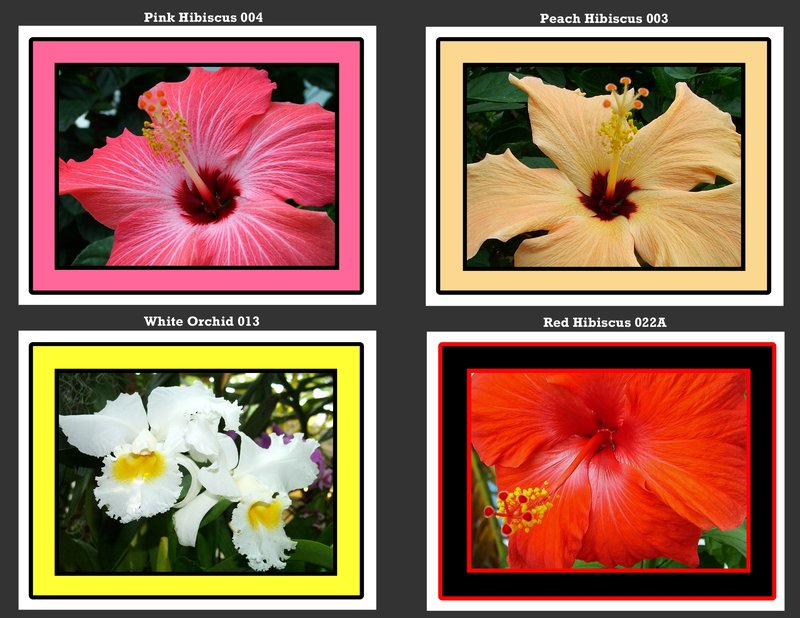 Flowers 007.jpg