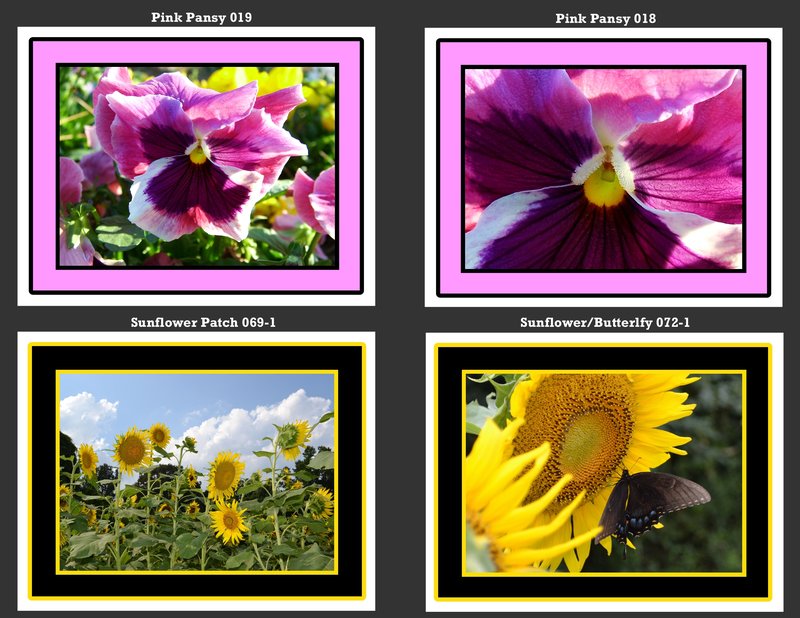 Flowers 008.jpg