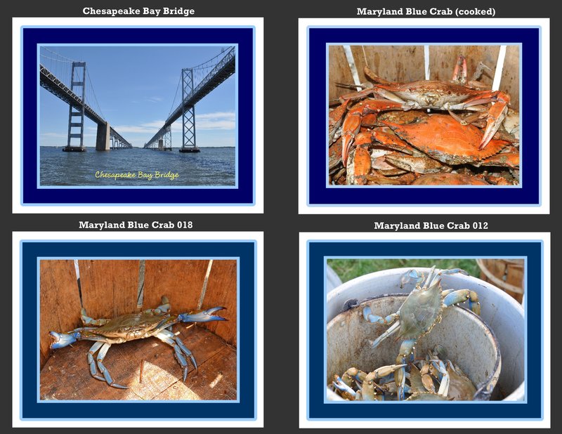 Nautical Crabs 008.jpg