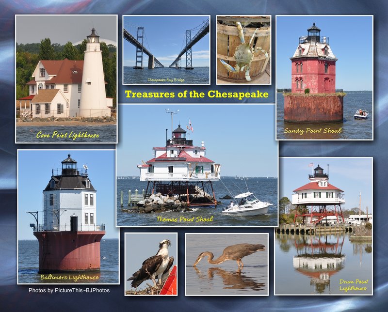 Treasures of the Chesapeake collage (print size 8x10).jpg :: 8x10  $25.00