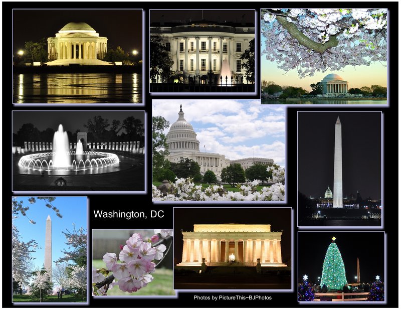 Washington DC collage (print size 8x10).jpg