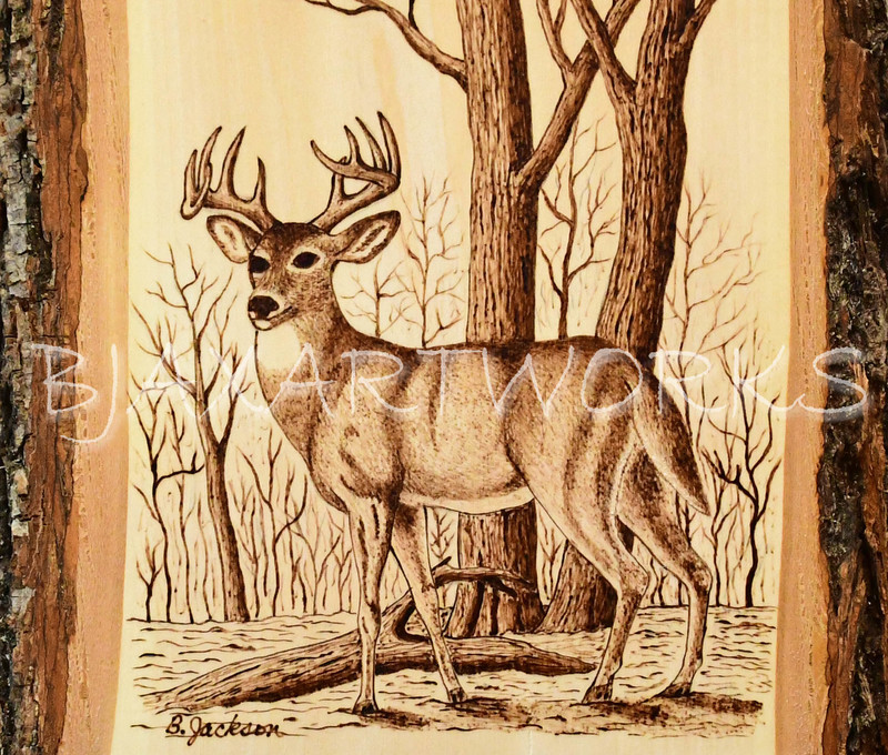 Buck 2 - Short.jpg