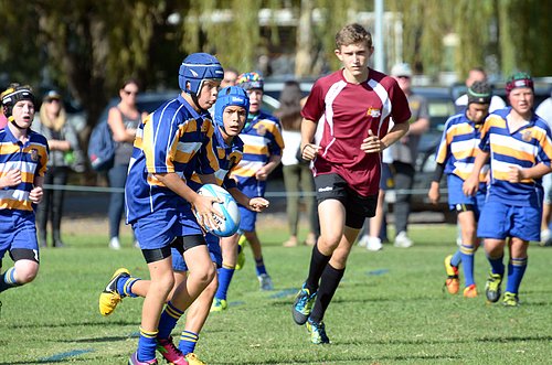 Download Waverley College Basketball Background