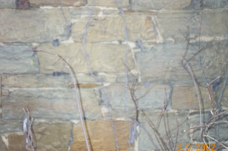 DCP_0114.jpg