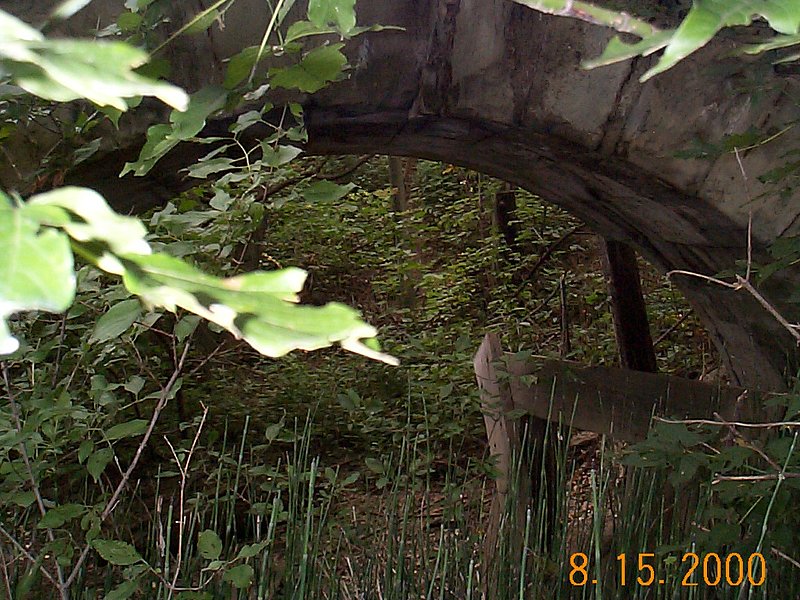 DCP01331.jpg