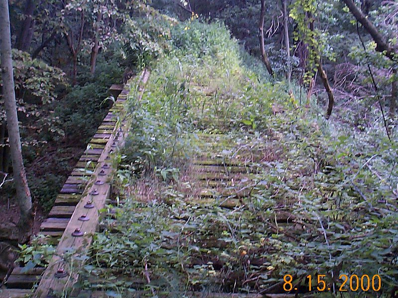 DCP01335.jpg