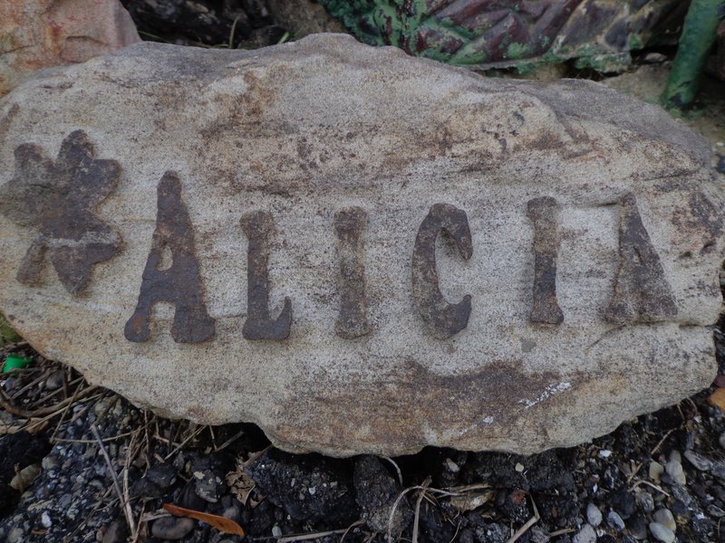 Medium Stone Pet Memorial Example Alicia Shamrock.jpg :: Medium Stone Pet Memorial Example Alicia Shamrock