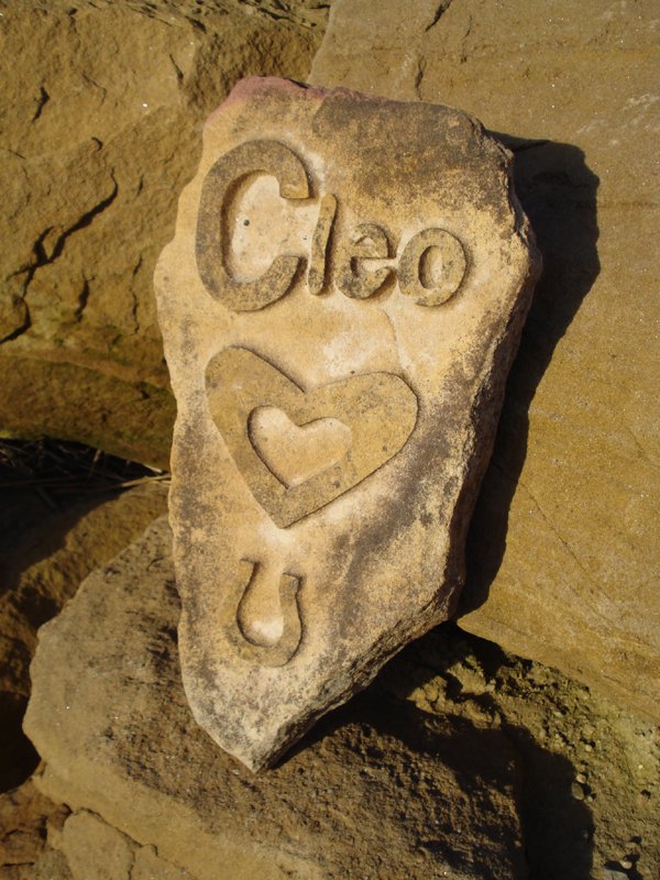 Medium Stone Pet Memorial Example Cleo Heart Horseshoe.jpg :: Medium Stone Pet Memorial Example Cleo Heart Horseshoe