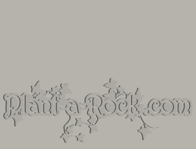 Plant-A-Rock com blank web space cover.jpg :: Plant-A-Rock.com