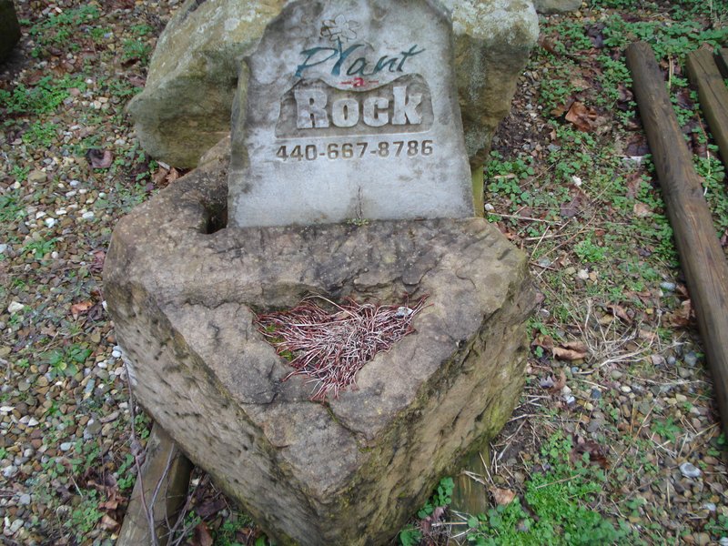 Reclaimed Bridgestone Sign with Plant-a-Rock etched into slab in a planter pedestal 2.jpg :: Reclaimed Bridgestone Sign with Plant-a-Rock etched into slab in a planter pedestal