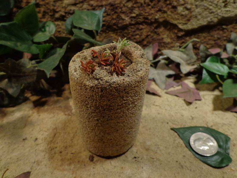 Small Cored Stone Planter Pots-12.jpg