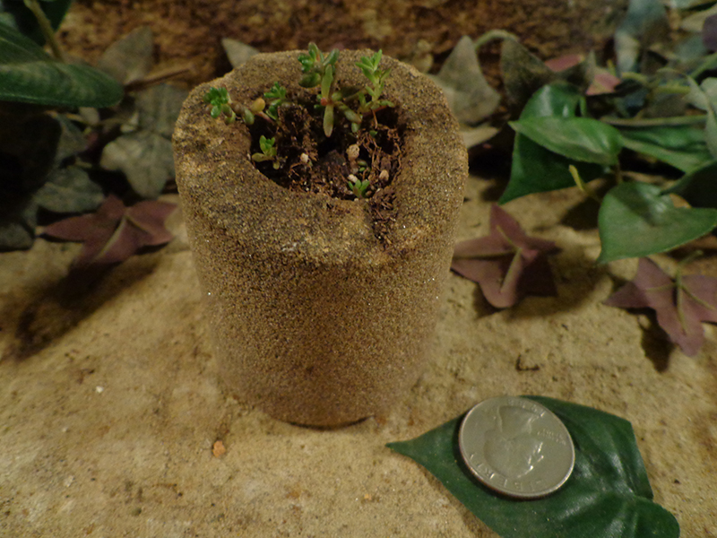 Small Cored Stone Planter Pots-131.jpg
