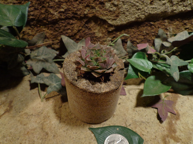 Small Cored Stone Planter Pots-21.jpg