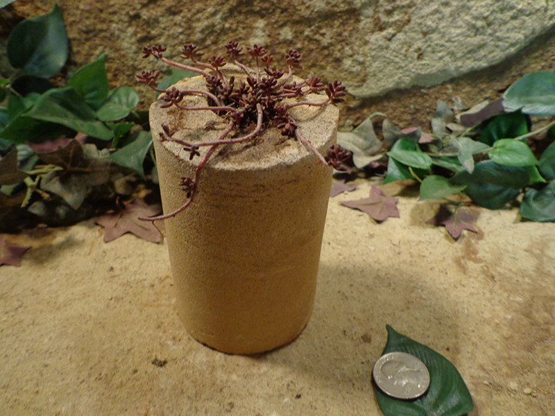 Small Cored Stone Planter Pots-81.jpg