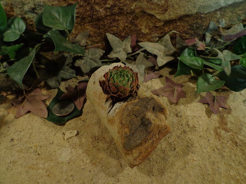 Small Cored Stone Planter Pots-9.jpg
