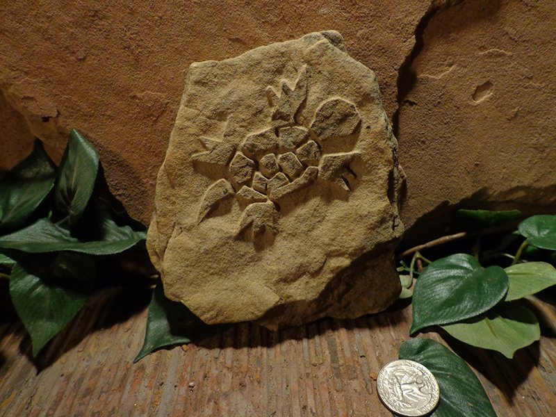 Small Etched Stone Garden Art-11.jpg :: small turtle stone 1