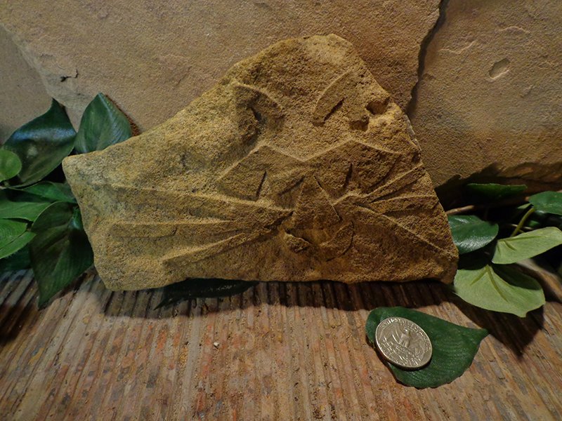 Small Etched Stone Garden Art-17.jpg :: small cat face stone 2