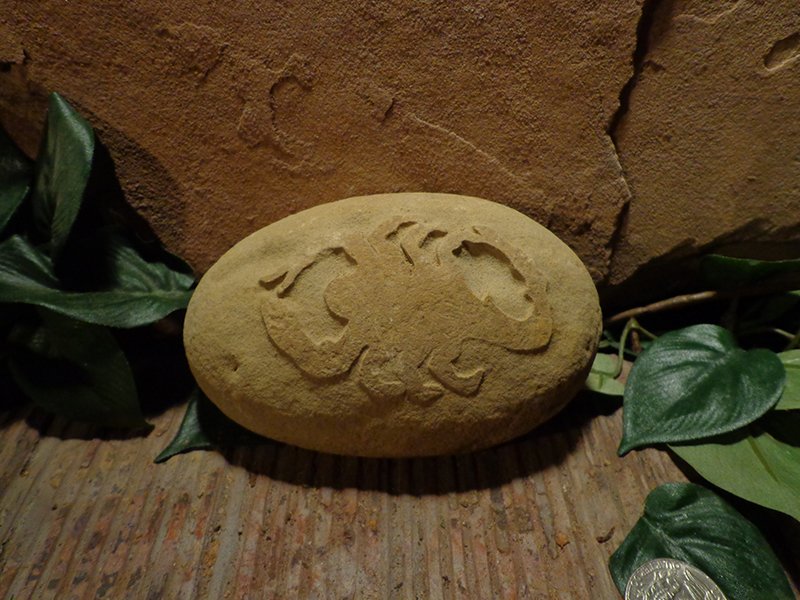 Small Etched Stone Garden Art-4.jpg :: small scorpion stone 1