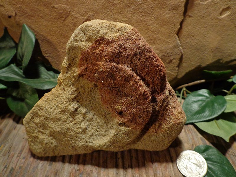 Small Etched Stone Garden Art-6.jpg :: small moon stone 2