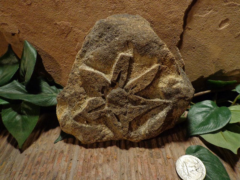 Small Etched Stone Garden Art-8.jpg :: small flower plant stone 1