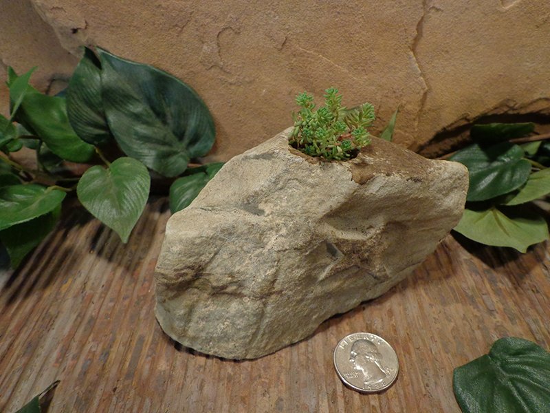 Small Etched Stone Planter Pot-1.jpg :: small star stone planter pot 1