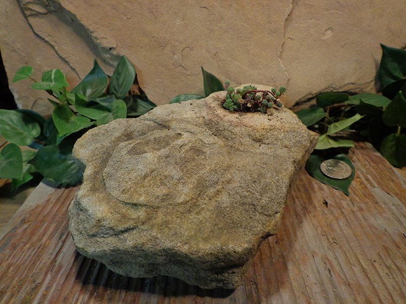 Small Etched Stone Planter Pot-10.jpg :: small peace sign stone planter pot 1