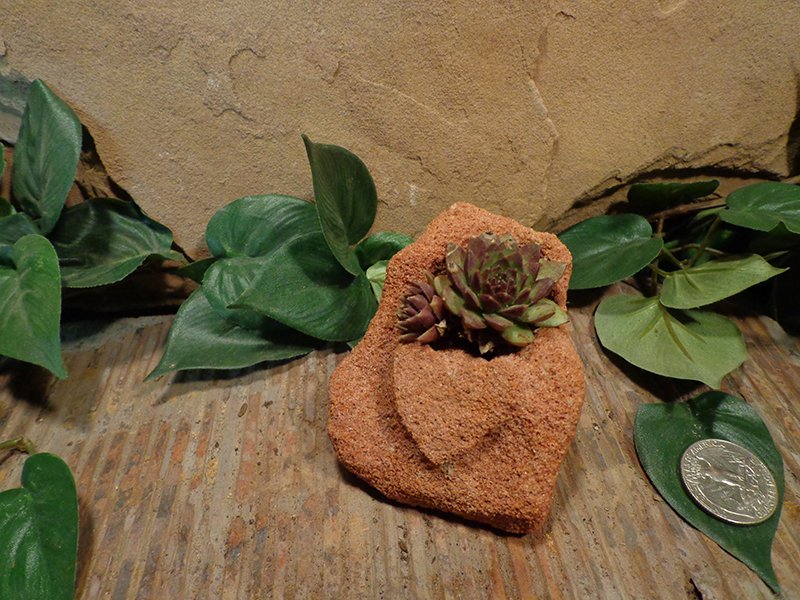 Small Etched Stone Planter Pot-12.jpg :: small heart stone planter pot 1