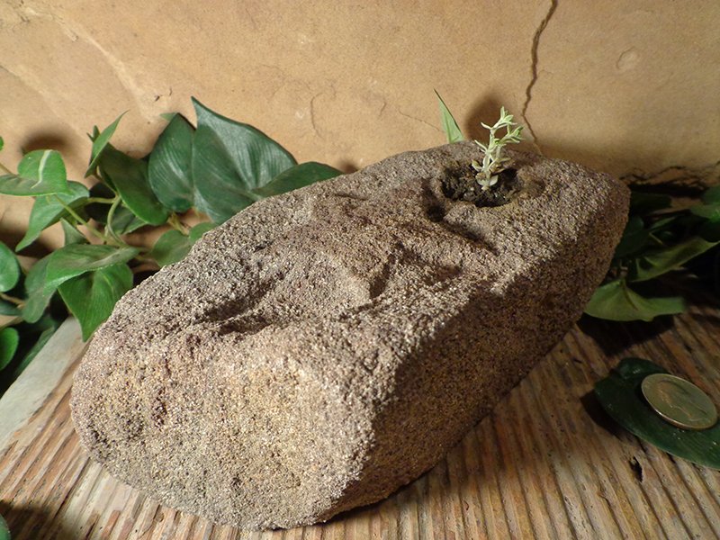 Small Etched Stone Planter Pot-2.jpg :: small star stone planter pot 2
