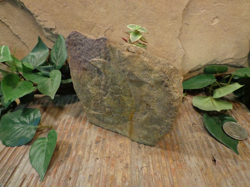 Small Etched Stone Planter Pot-3.jpg :: small moon stone planter pot 1