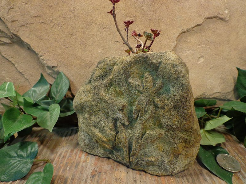 Small Etched Stone Planter Pot-4.jpg :: small flower plant planter pot 1
