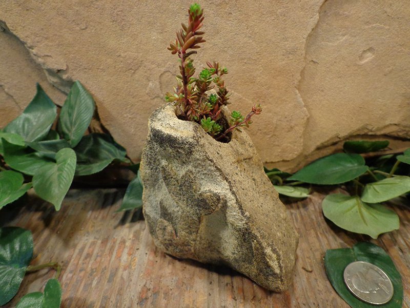Small Etched Stone Planter Pot-5.jpg :: small star stone planter pot 3