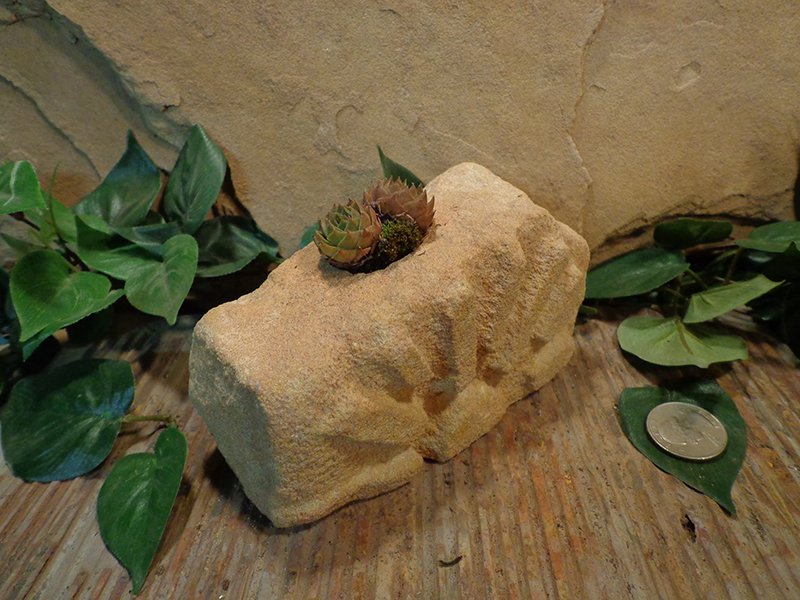 Small Etched Stone Planter Pot-7.jpg :: small sun burst planter pot 1