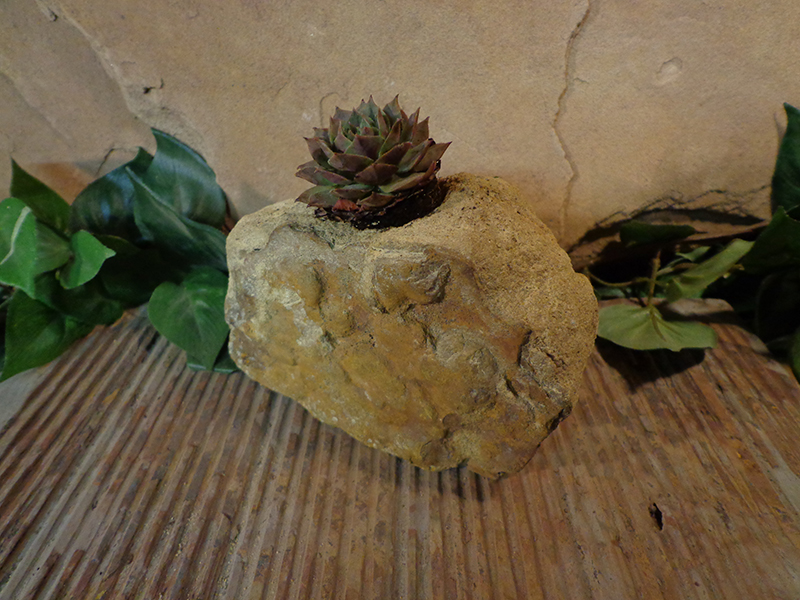 Small Natural Stone Planter Pot-1.jpg :: Small Natural Stone Planter Pot