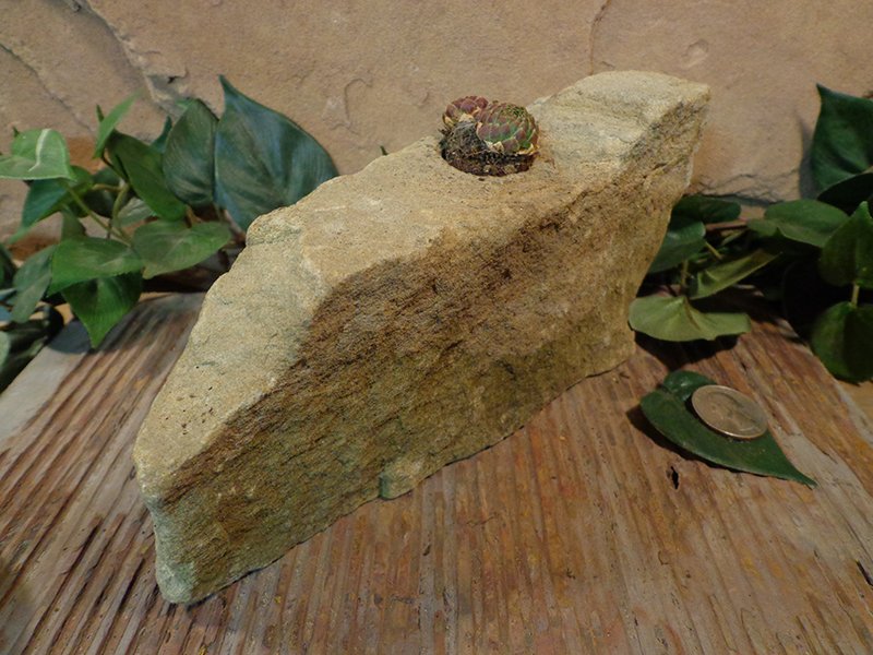 Small Natural Stone Planter Pot-13.jpg :: Small Natural Stone Planter Pot