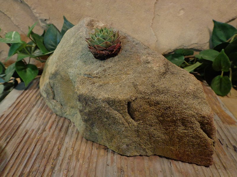 Small Natural Stone Planter Pot-14.jpg :: Small Natural Stone Planter Pot