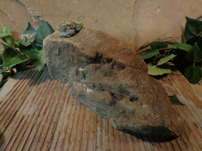 Small Natural Stone Planter Pot-15.jpg :: Small Natural Stone Planter Pot