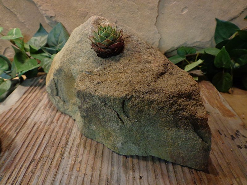 Small Natural Stone Planter Pot-16.jpg :: Small Natural Stone Planter Pot
