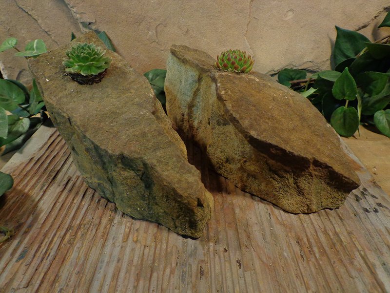 Small Natural Stone Planter Pot-17.jpg :: Small Natural Stone Planter Pot